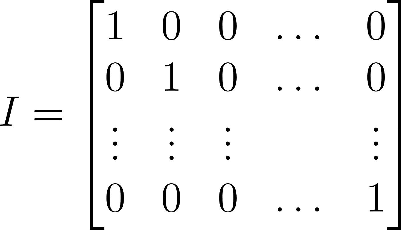 The matrix equivalent of 1