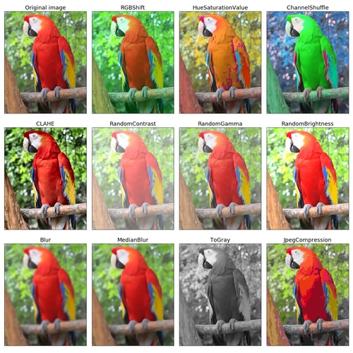 Figure 7: Examples of pixel level data augmentations applied to images using Albumentations. Source: Albumentations