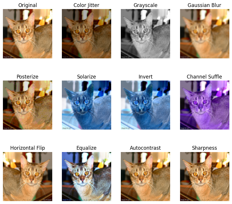 Figure 8: Examples of data augmentations applied to images using Torchvision transforms. Source: Authors notebook