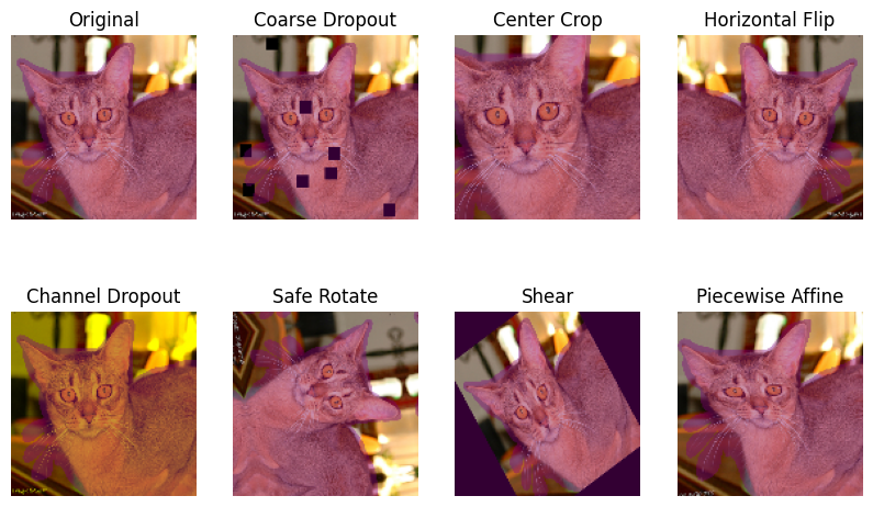 Figure 9: Examples of spatial level transforms applied using Albumentations. Source: Authors notebook