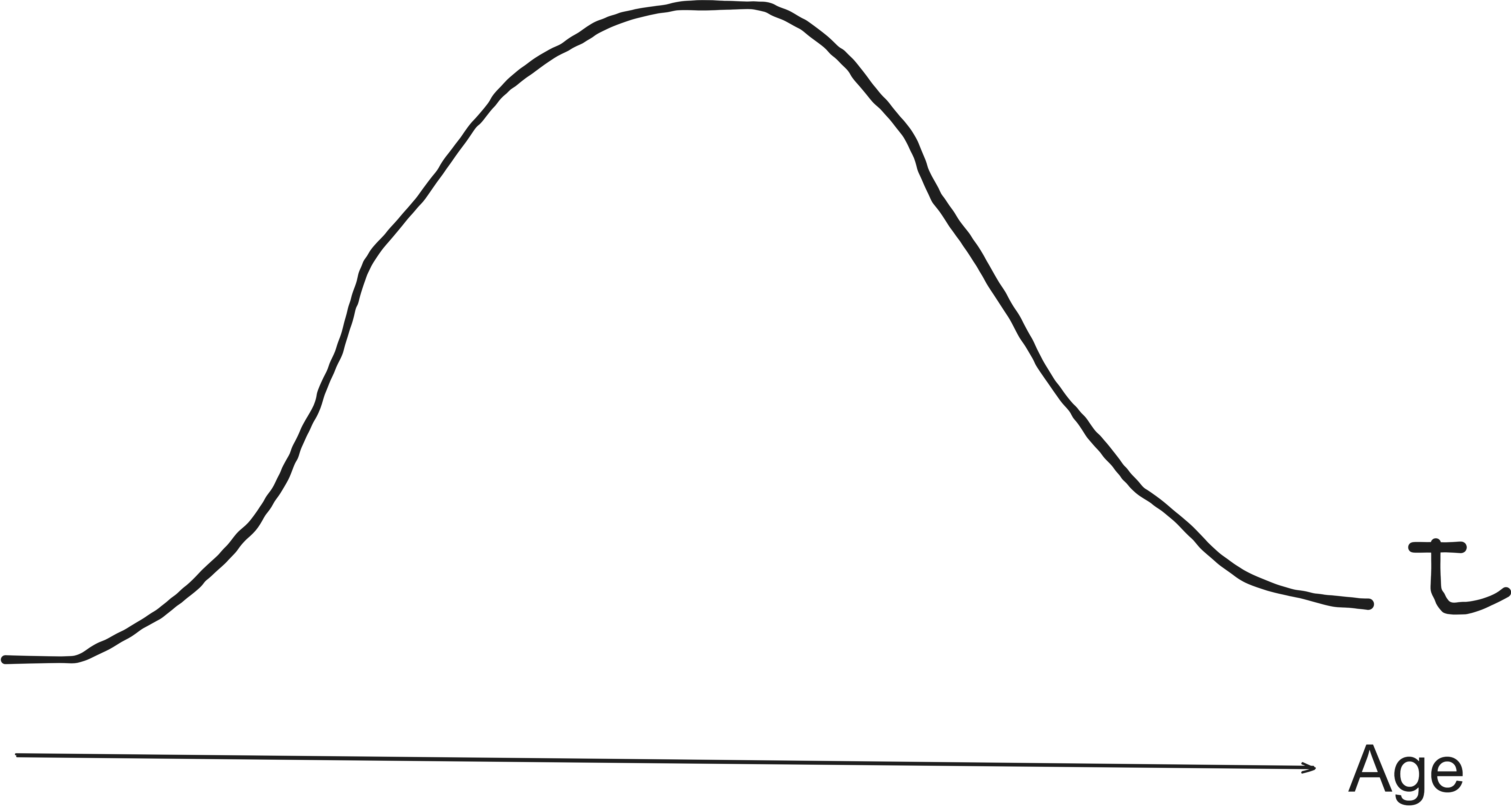 Age Distribution at Time t - Image by Author