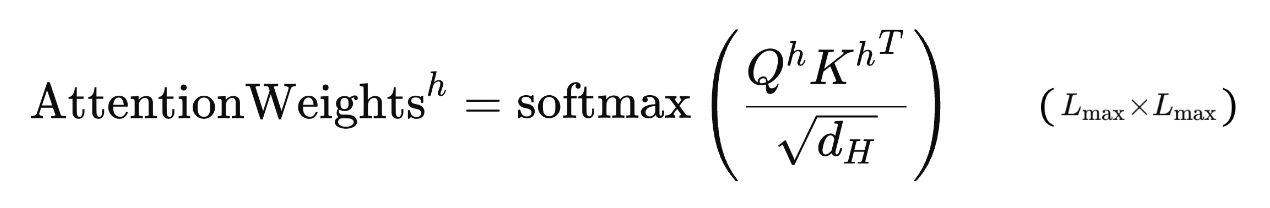 The equation for calculating the attention weights in each head as a function of the head-specific Query and Key matrices. Image by author.