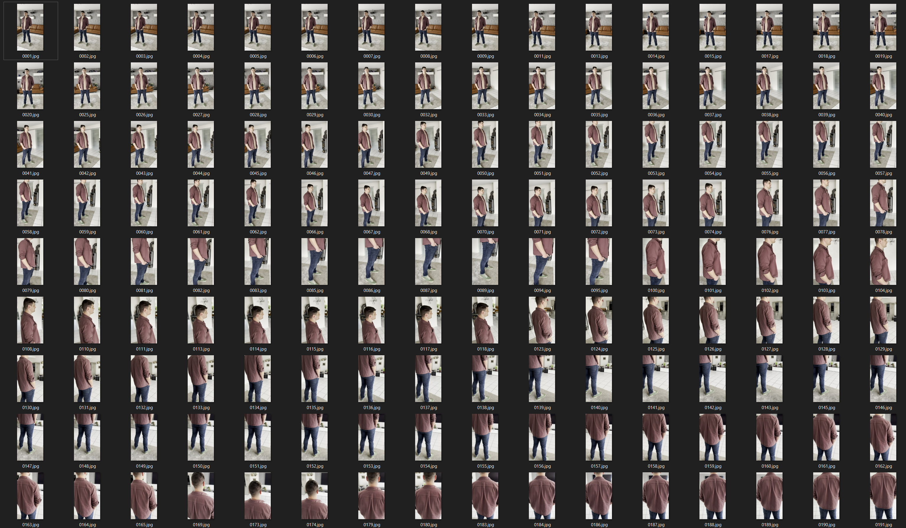 Fig.5: Single frame input images. Image by Sascha Kirch.